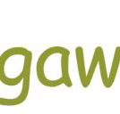 Bungawitta Child Care Centre - Child Care Sydney