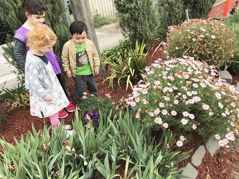 Wonder World Play Centre - Child Care Sydney 1