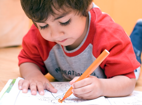 Columba Cottage Early Learning Centre - Child Care Sydney 3
