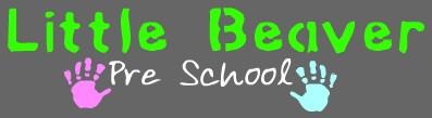 Little Beaver Pre School - Child Care Sydney 0