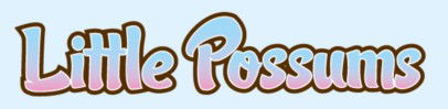 Little Possums Pre School & Early Learning Centre - Child Care Sydney 0