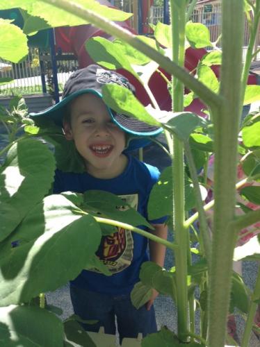 Central Gardens Child Care Pre School - Child Care Sydney 2