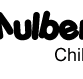 Mulberry Tree Childcare Doubleview Scarb Bch Rd - Child Care Sydney
