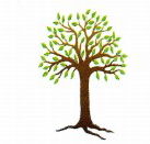 Kadina Child Care Centre - Child Care Sydney