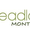 Headland Montessori ELC - Child Care Sydney