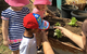 Maitland Family Day Care Trading As Five Star Family Day Care - thumb 8