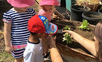 Maitland Family Day Care Trading As Five Star Family Day Care - Child Care Sydney 8