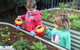Sylvania Waters Early Education - thumb 1