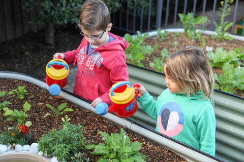 Sylvania Waters Early Education - Child Care Sydney 1