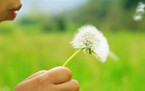 Green Beginnings Child Care Centre & Kindy - Child Care Sydney 0