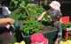 Noosaville Child Care & Pre School Centre - thumb 1