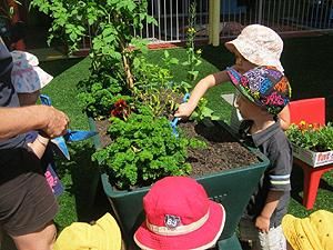 Noosaville Child Care & Pre School Centre - Child Care Sydney 1