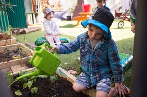 Minyama Early Learning Centre - Child Care Sydney 2