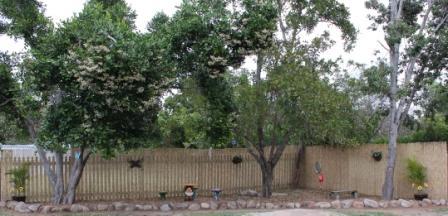 Jensen Early Learning Centre - Child Care Sydney 1