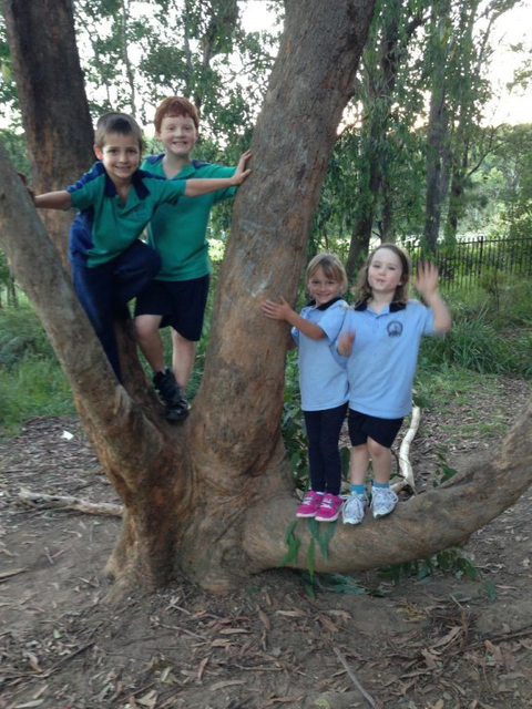 Mount Hutton OOSH & Vacation Care - Child Care Sydney 10