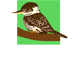 Little Kookas Kingsthorpe Childcare - Child Care Sydney