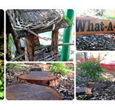 Willmore Kindergarten  Preschool - Child Care Sydney